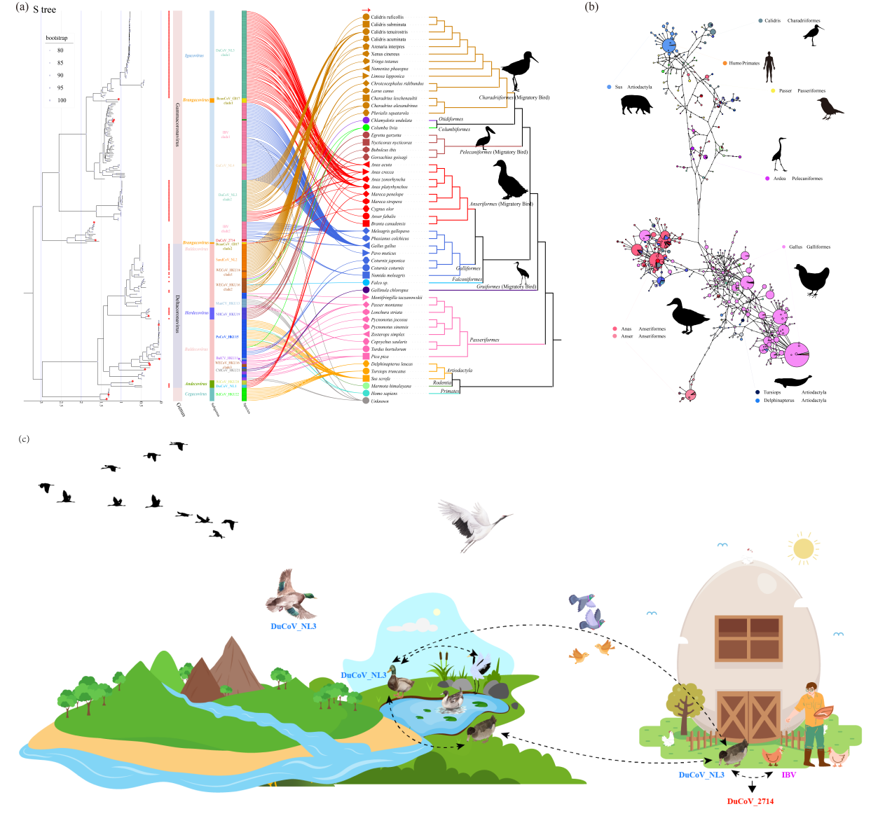 图12