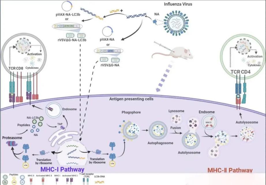 微信图片_20260326123314_13_1257