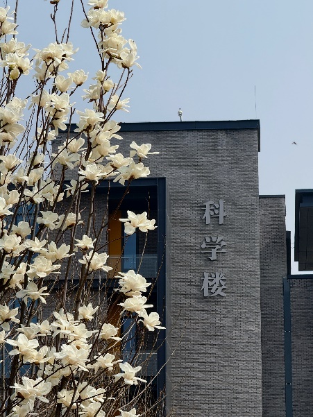 78a6068f4ed478264dcf4ce89af1c9a9