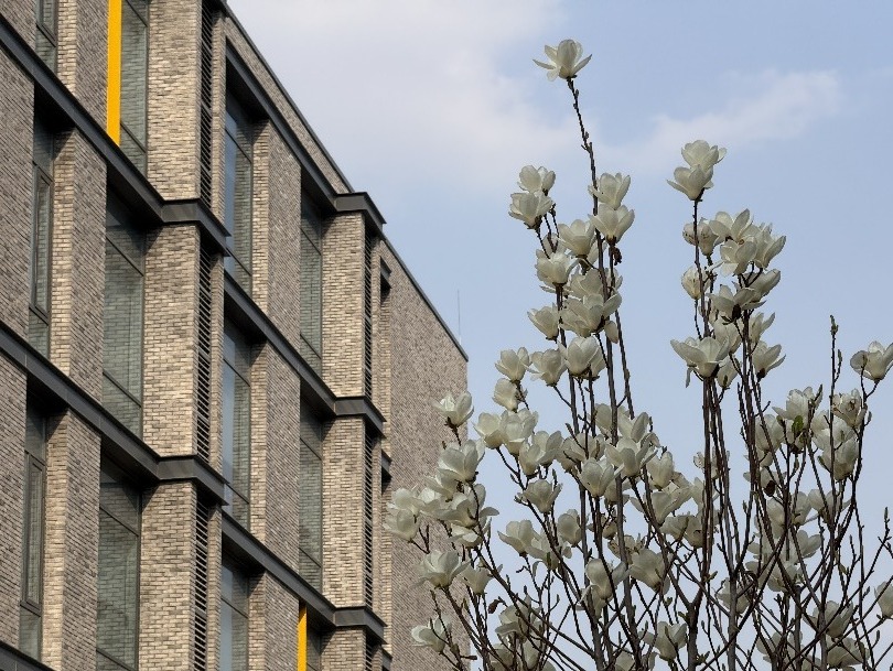 微信图片_20260401153830_23_787