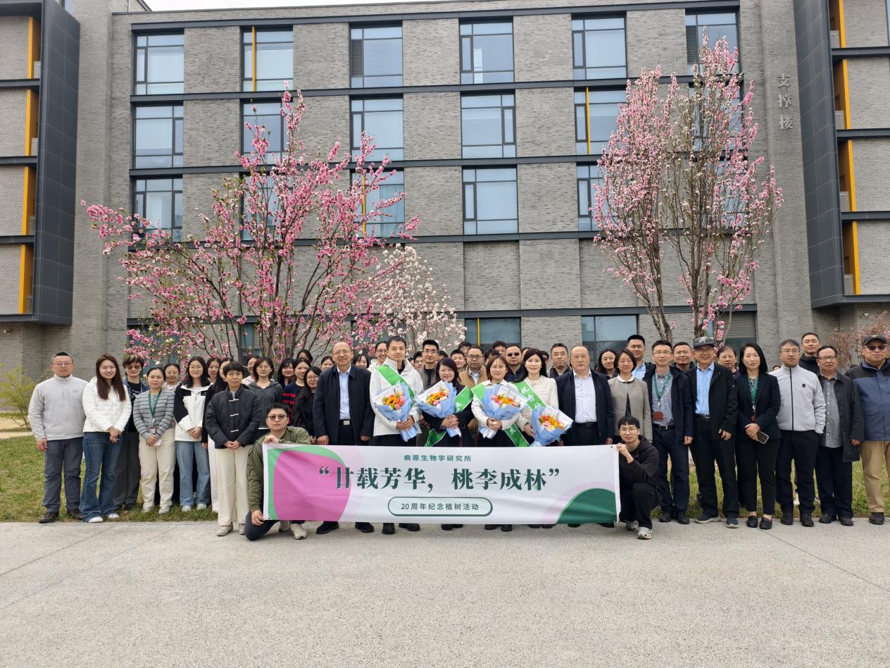 82e2ce34ac28c3e6833066d53499666